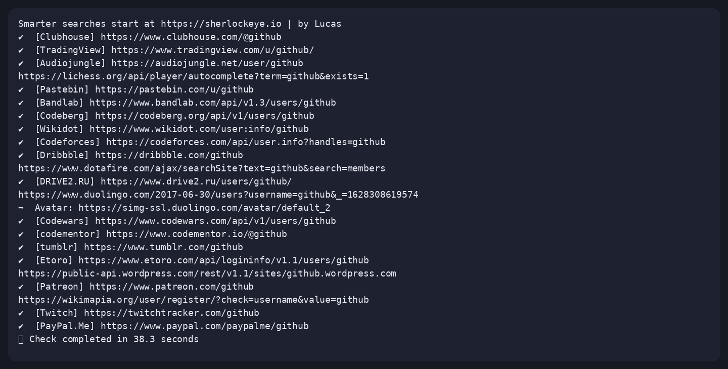 Terminal output of blackbird.py -u osint-daily-capture-20261016, captured 16 Oct 2026