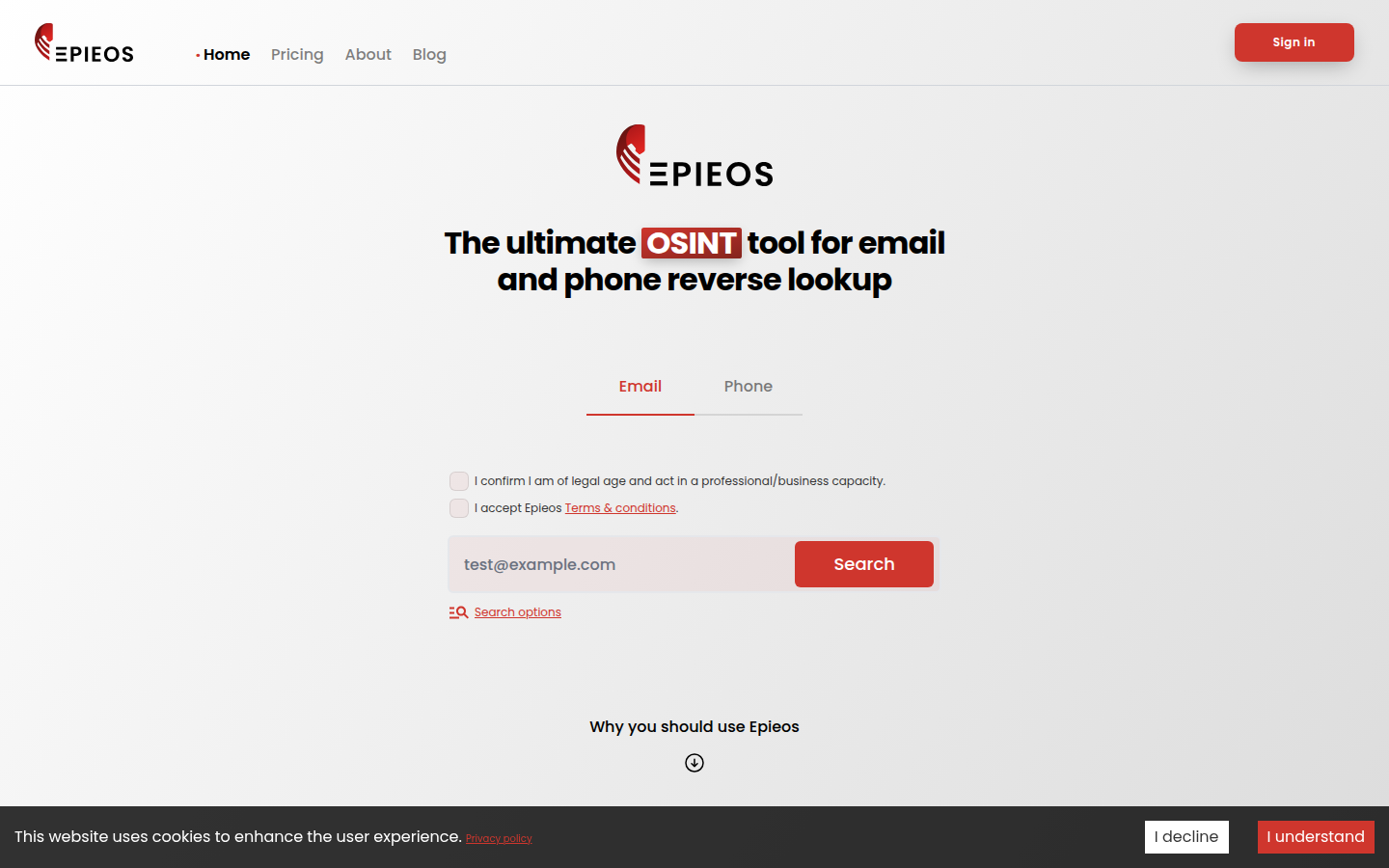 Epieos email search on epieos.com, opened 20 Oct 2026, with the Email tab selected and the legal-age and terms boxes still empty.