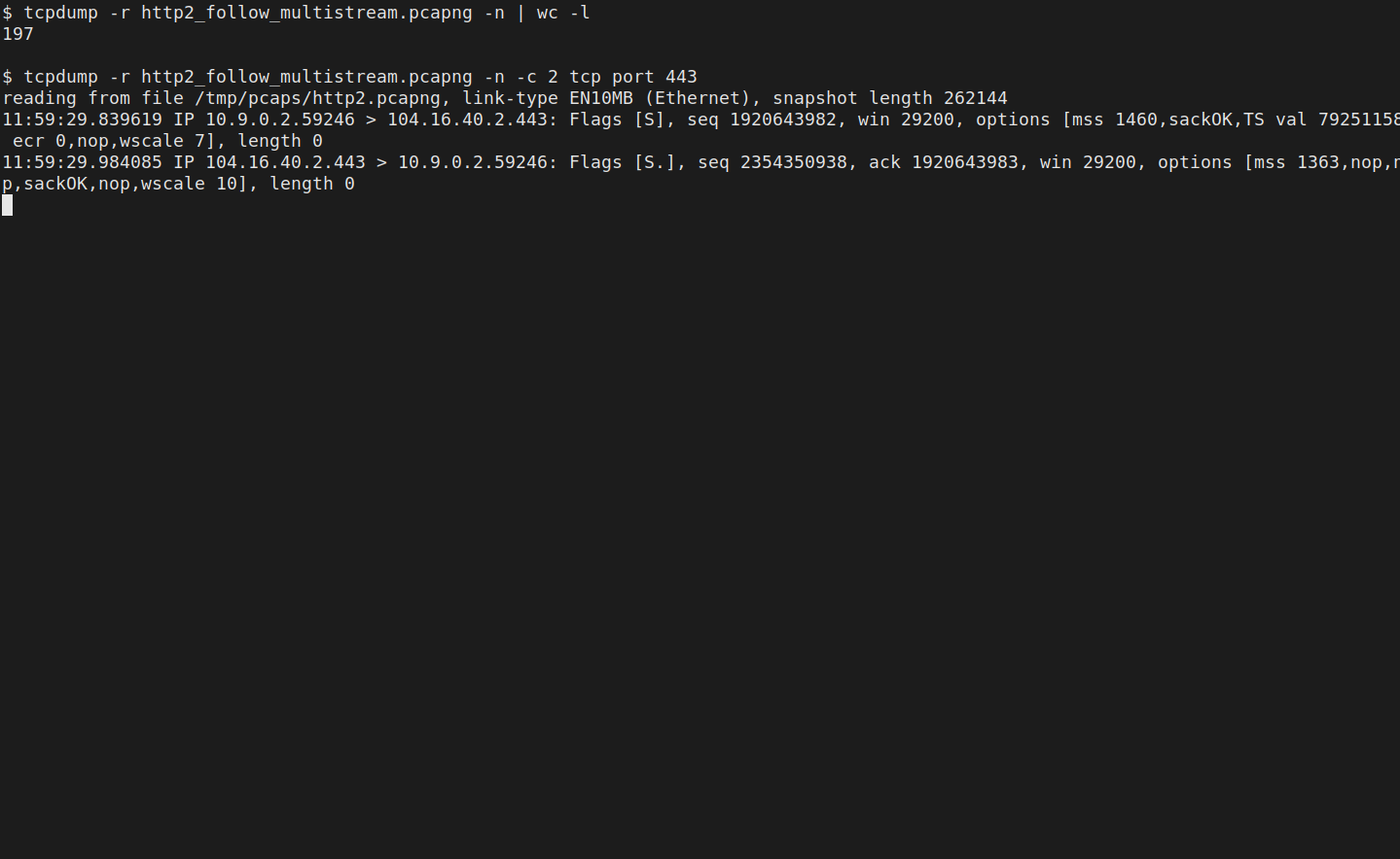tcpdump 4.99.4 on 18 Oct 2026 after a full read of the Mozilla sample, with the line count at 197 packets to and from port 443.